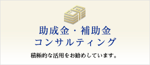 助成金・補助金コンサルティング申請業務